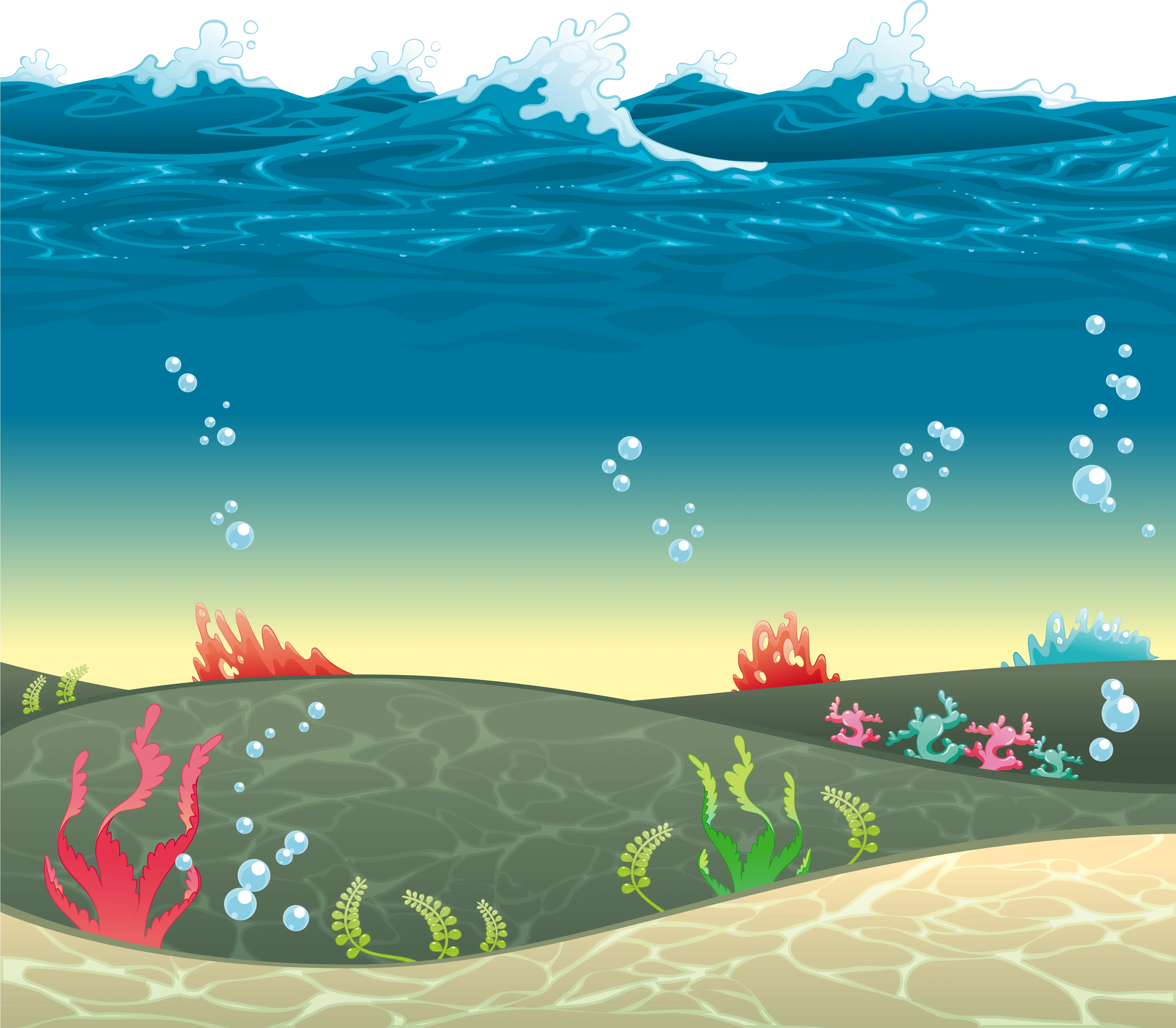 Beautiful Underwater Scene