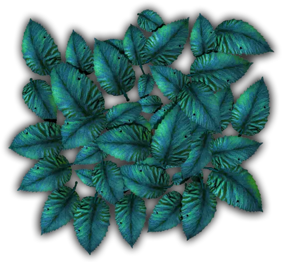 Green Leaves Foliage