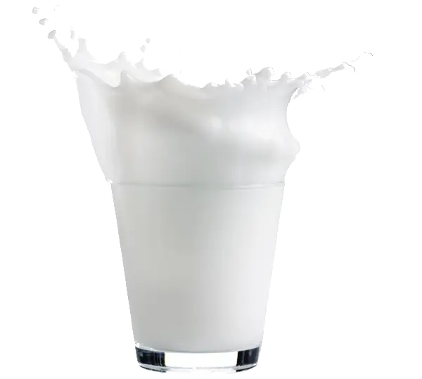 Refreshing Glass of Milk