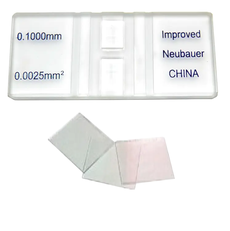 Microscope Slide with Measurement