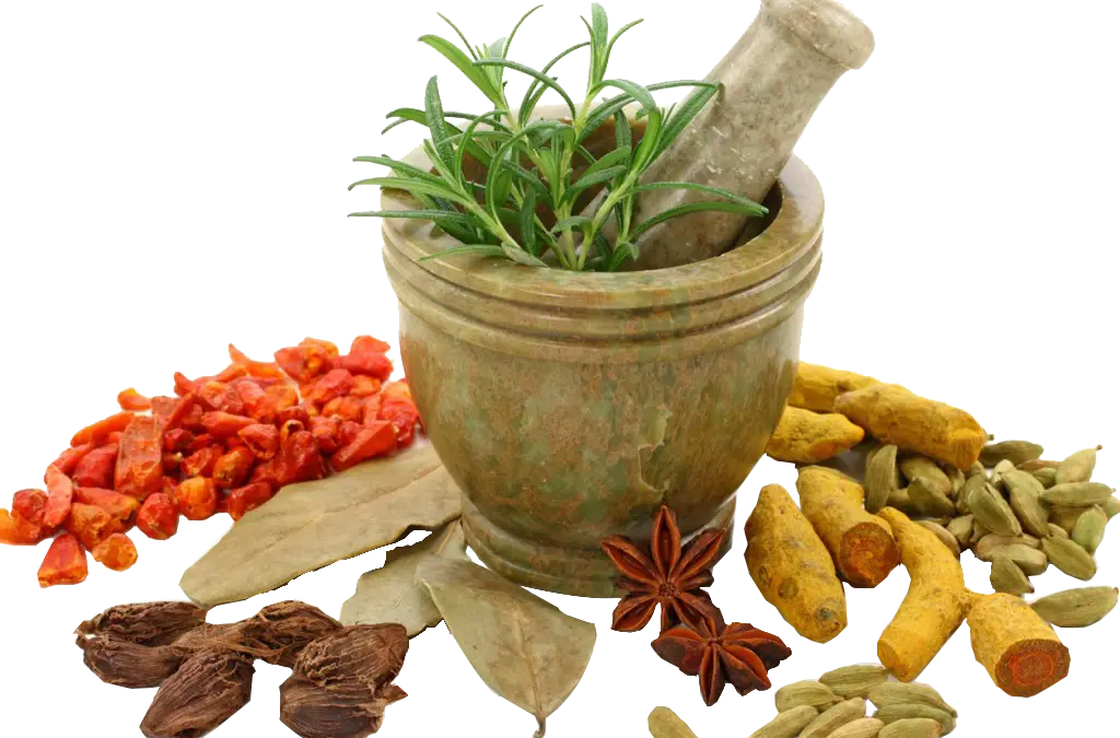 Mortar and Pestle with Fresh Spices