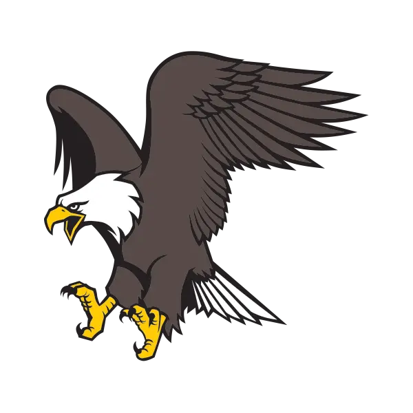 Bald Eagle Illustration with Majestic Wings Spread
