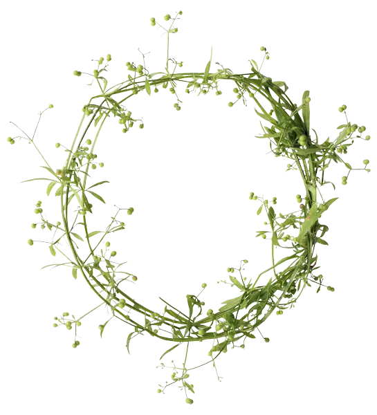 Minimalist Greenery Wreath Decoration