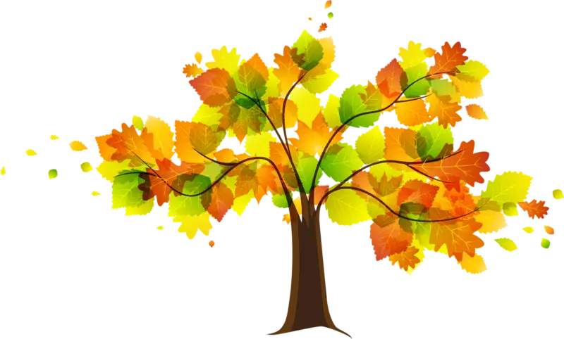 Autumn Tree with Colorful Leaves