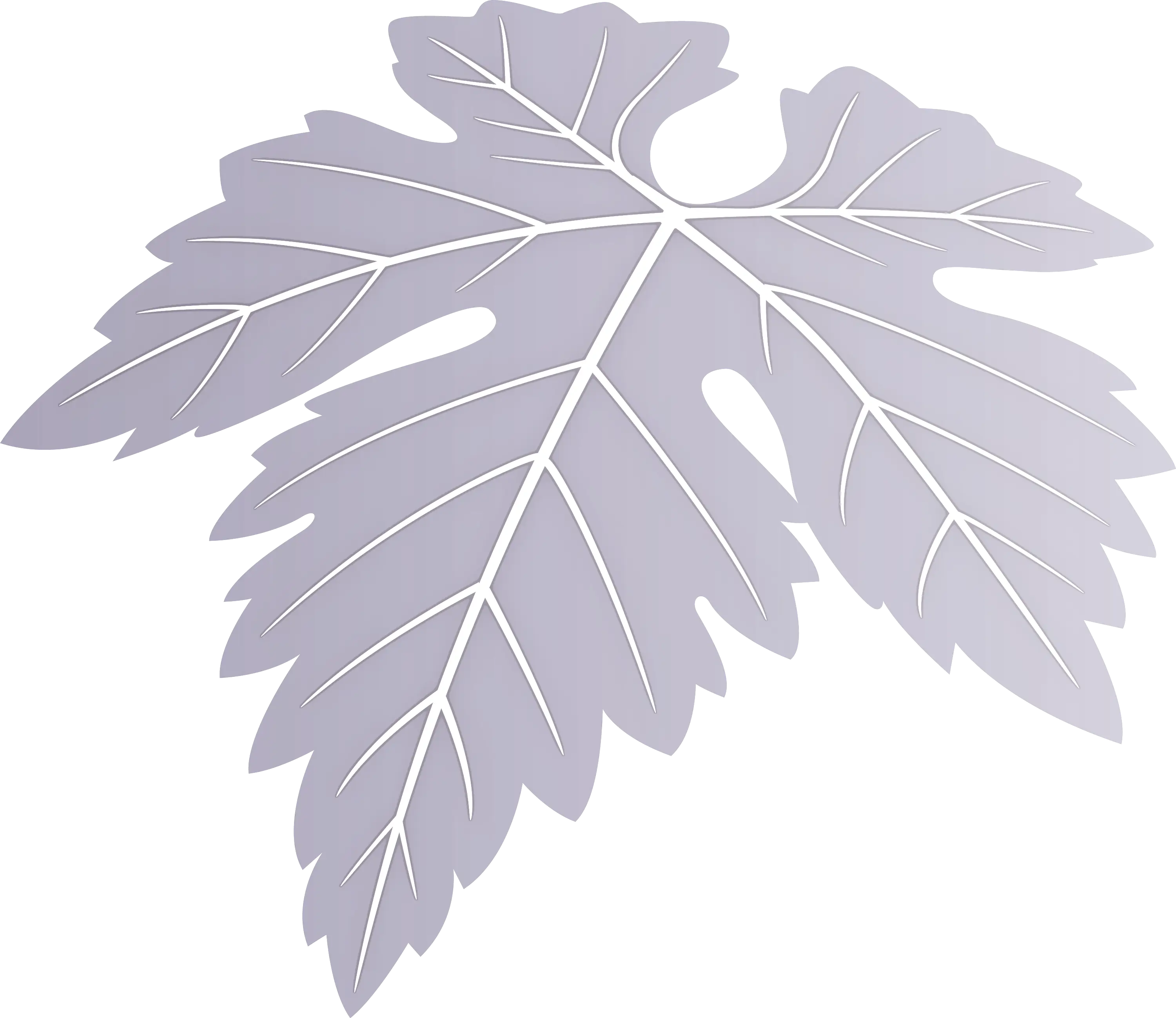 Gray Textured Grape Leaf Illustration