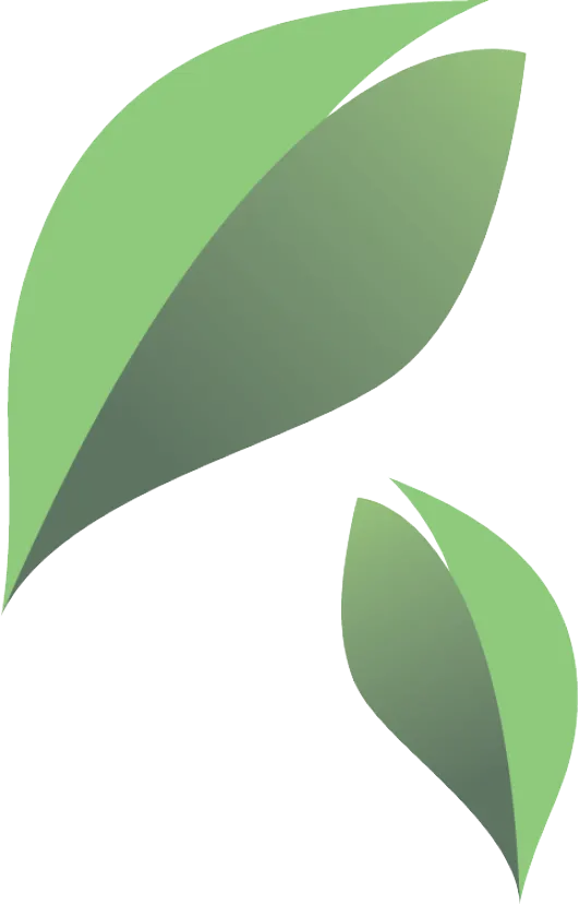 Green Leaves Minimalist Illustration