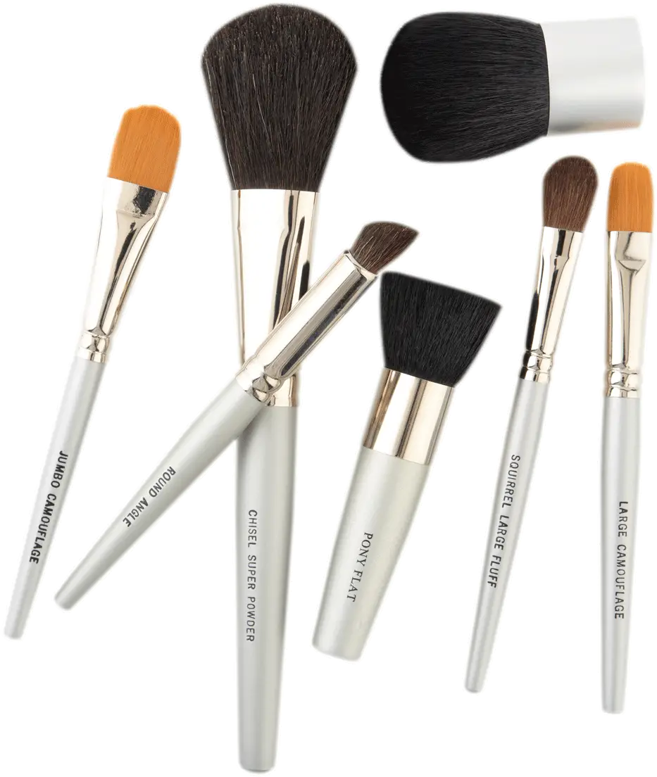 Set of Makeup Brushes for Beauty