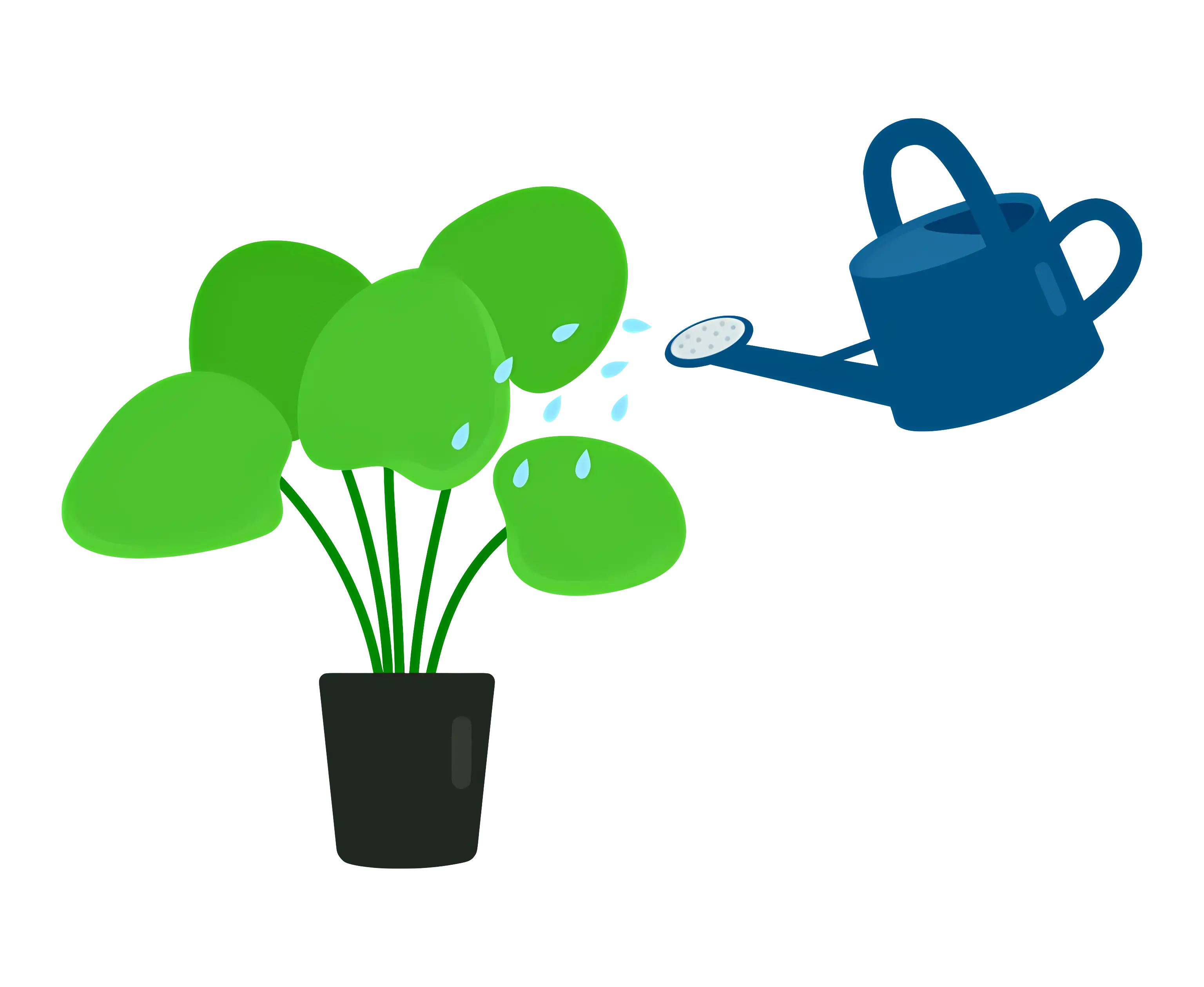 Watering a Green Plant