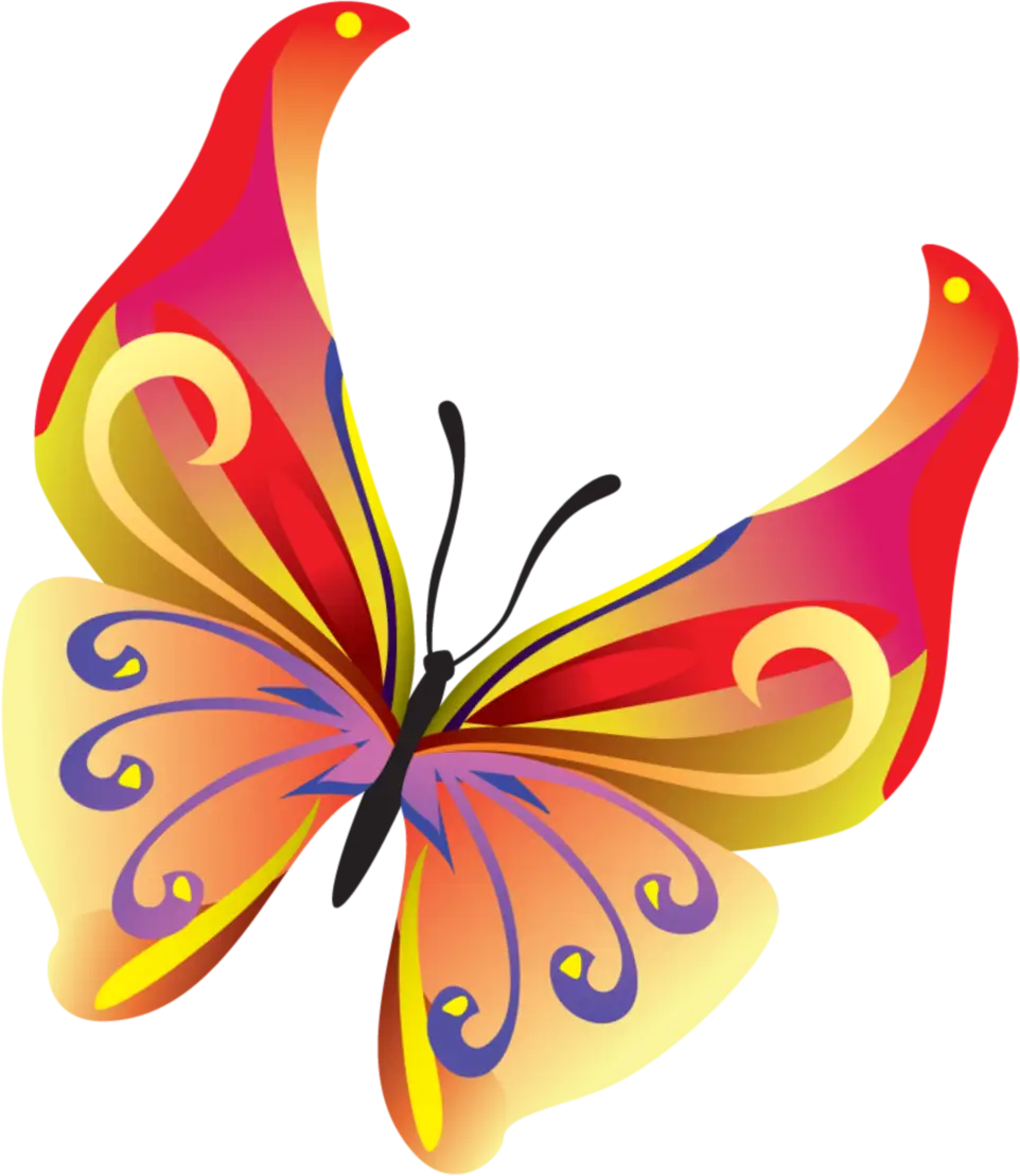 Rainbow Colorful Butterfly Artwork