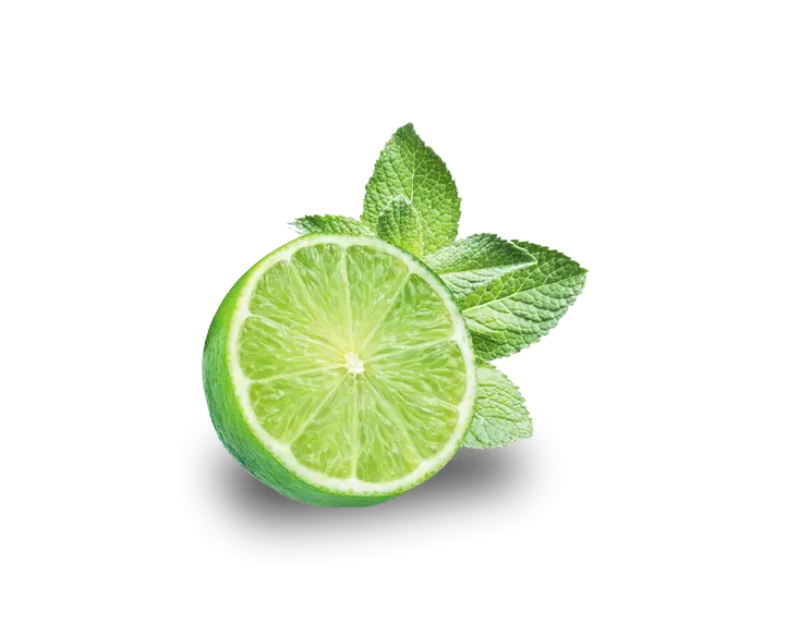 Fresh Green Lime with Mint Leaves