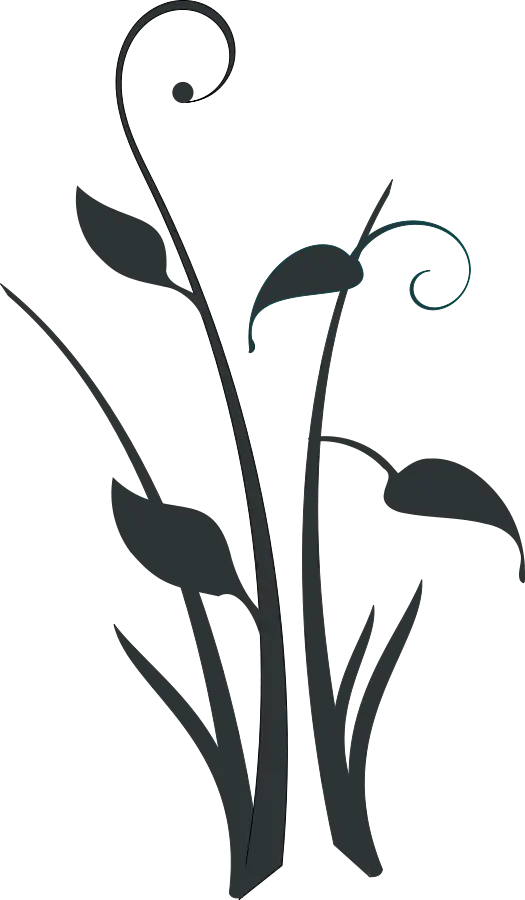 Black Swirling Plant Silhouette Design