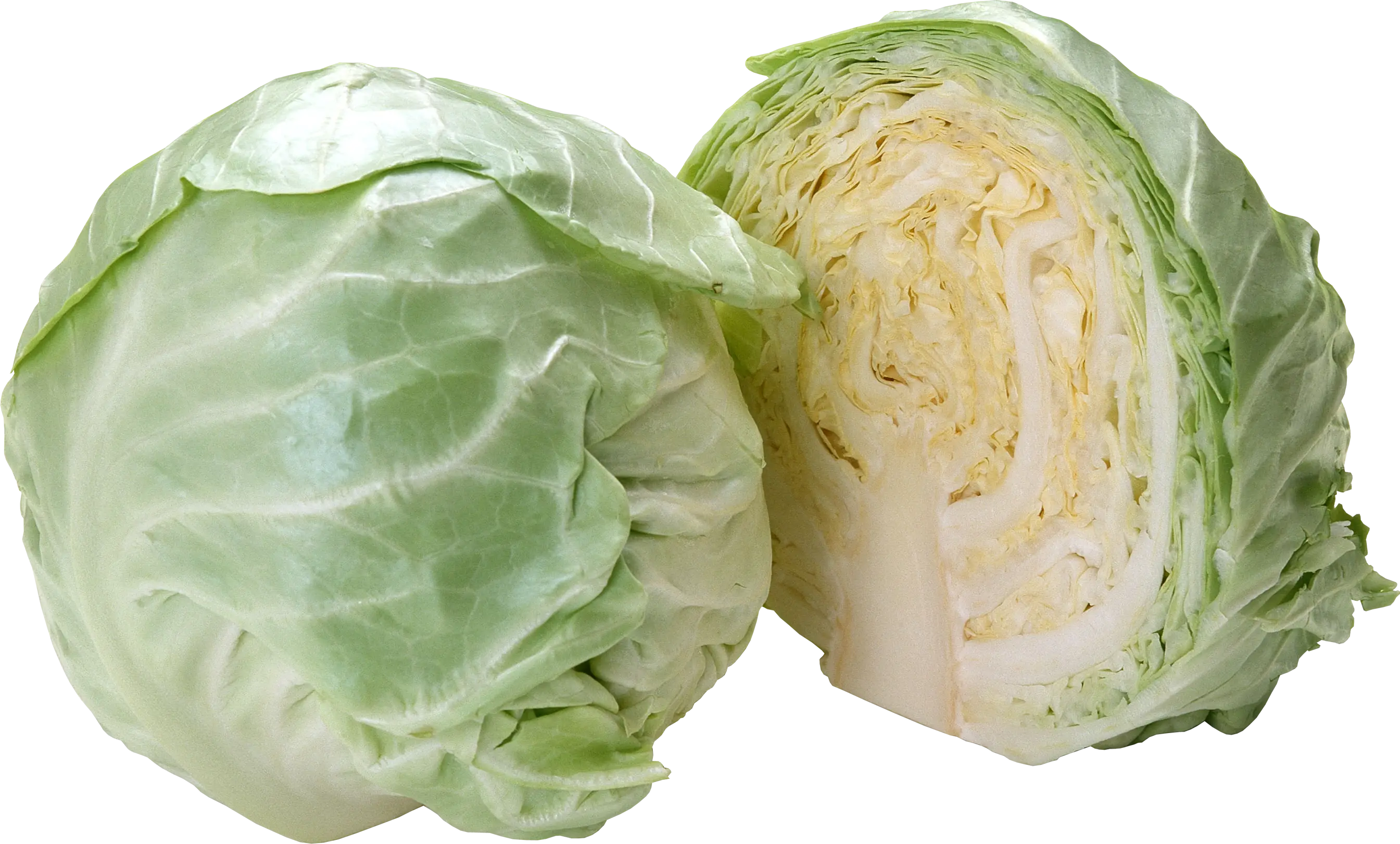 Whole and Sliced Green Cabbage