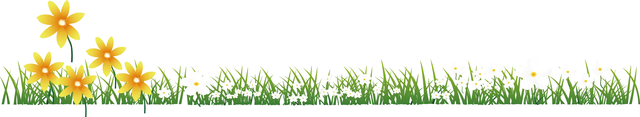 Grass Border with Yellow Flowers for Nature Illustrations