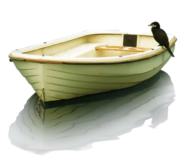 Boat with Bird on Water