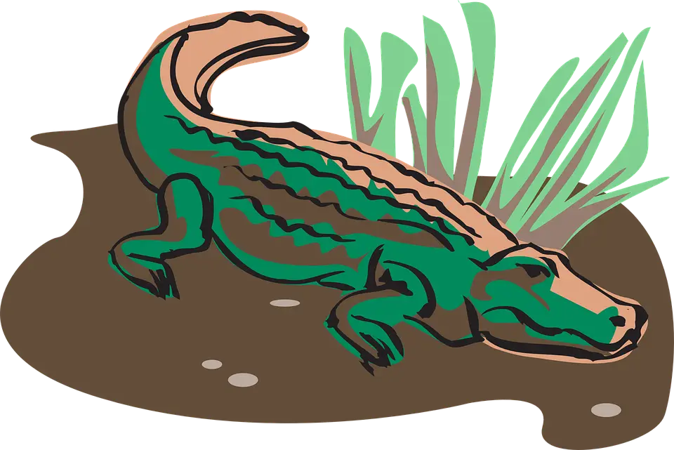 Green Alligator in Swamp Illustration