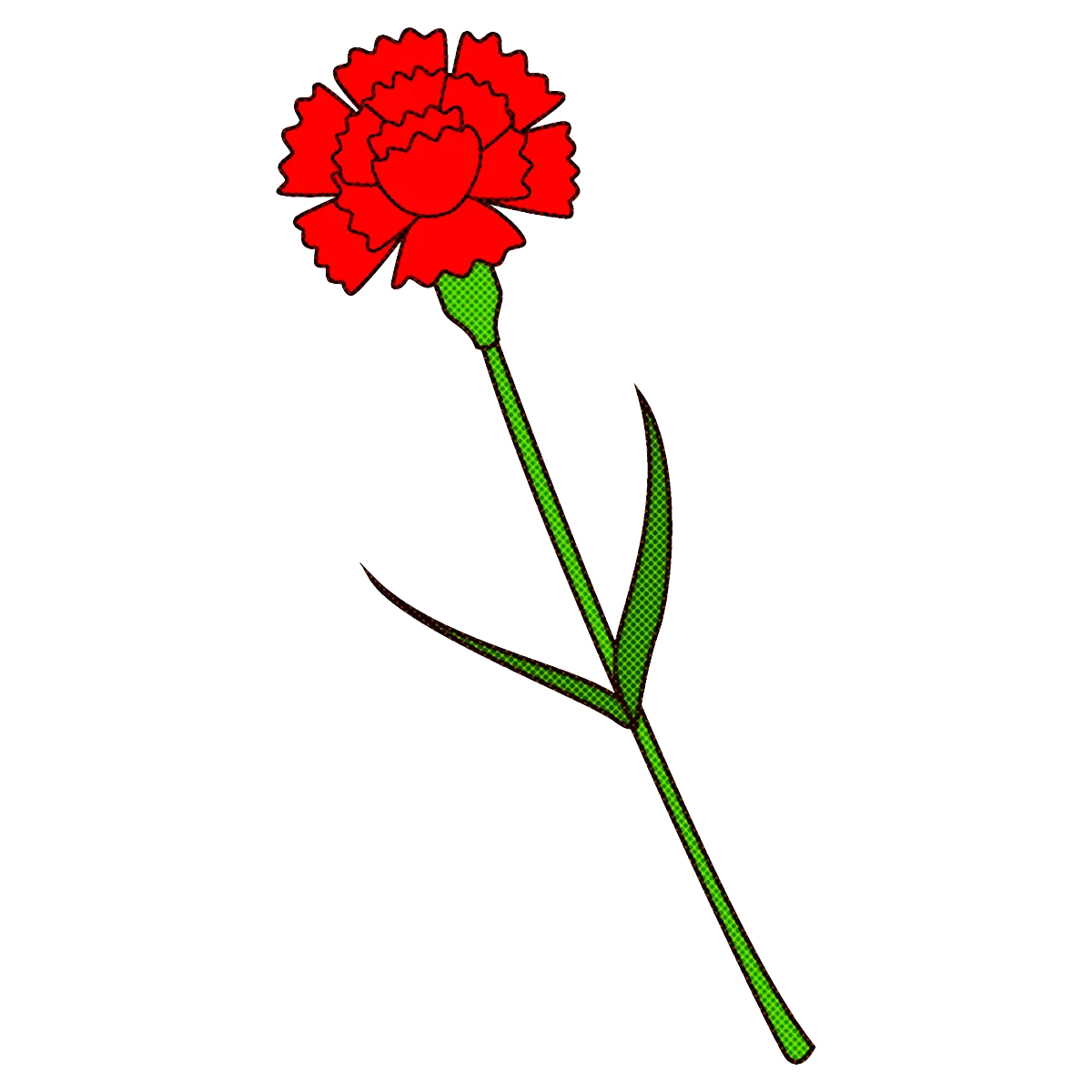 Beautiful Red Carnation Flower