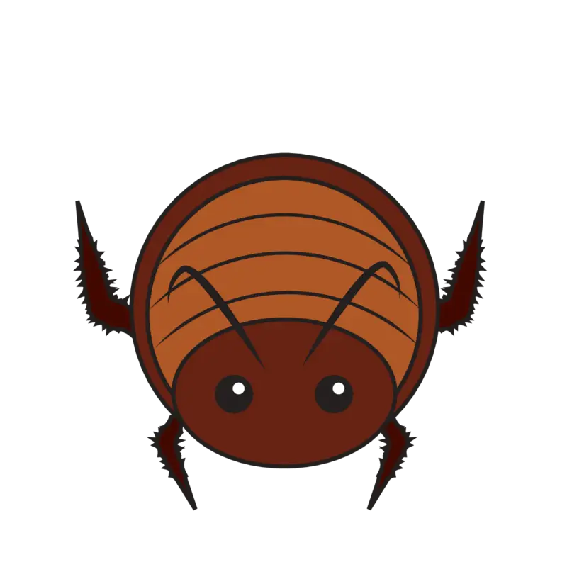 Cute Cartoon Bug