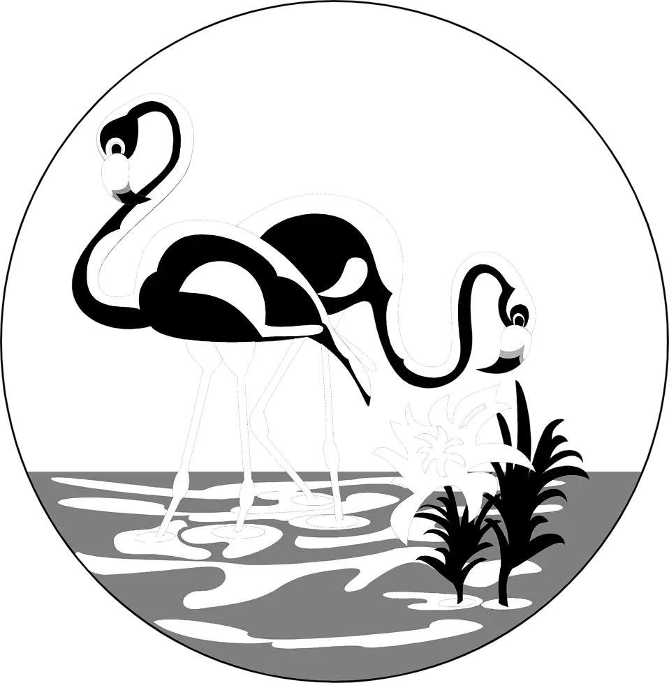 Elegant Flamingo Silhouette Illustration