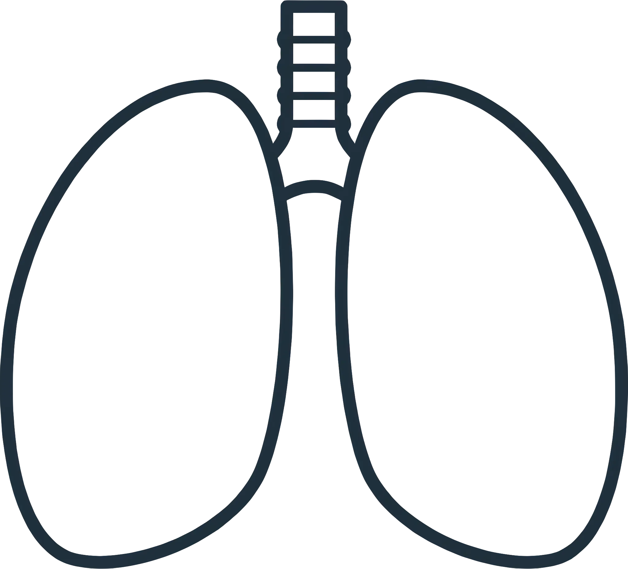 Outline of Human Lungs