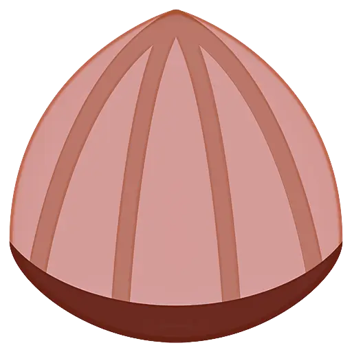 Brown Chestnut Illustration