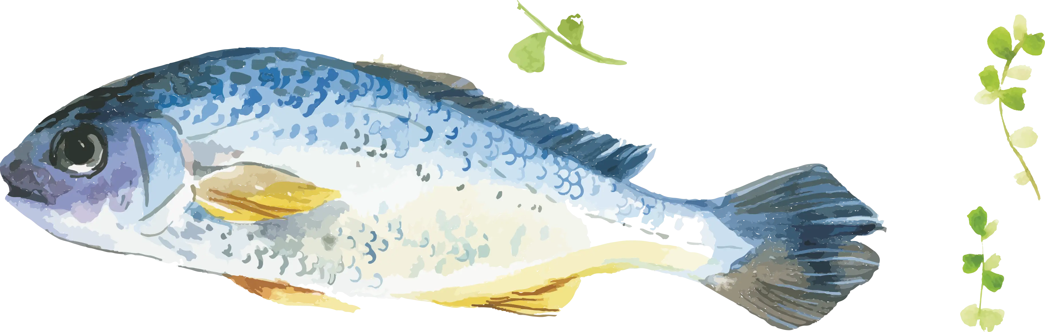 Blue Fish with Green Leaf