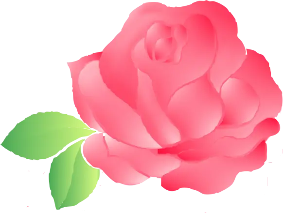 Red Rose with Green Leaf Illustration