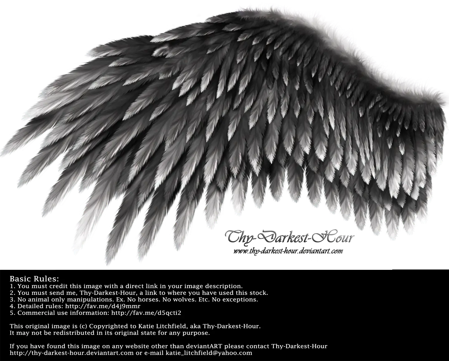 Black Feathered Wings with Mystical Aesthetic