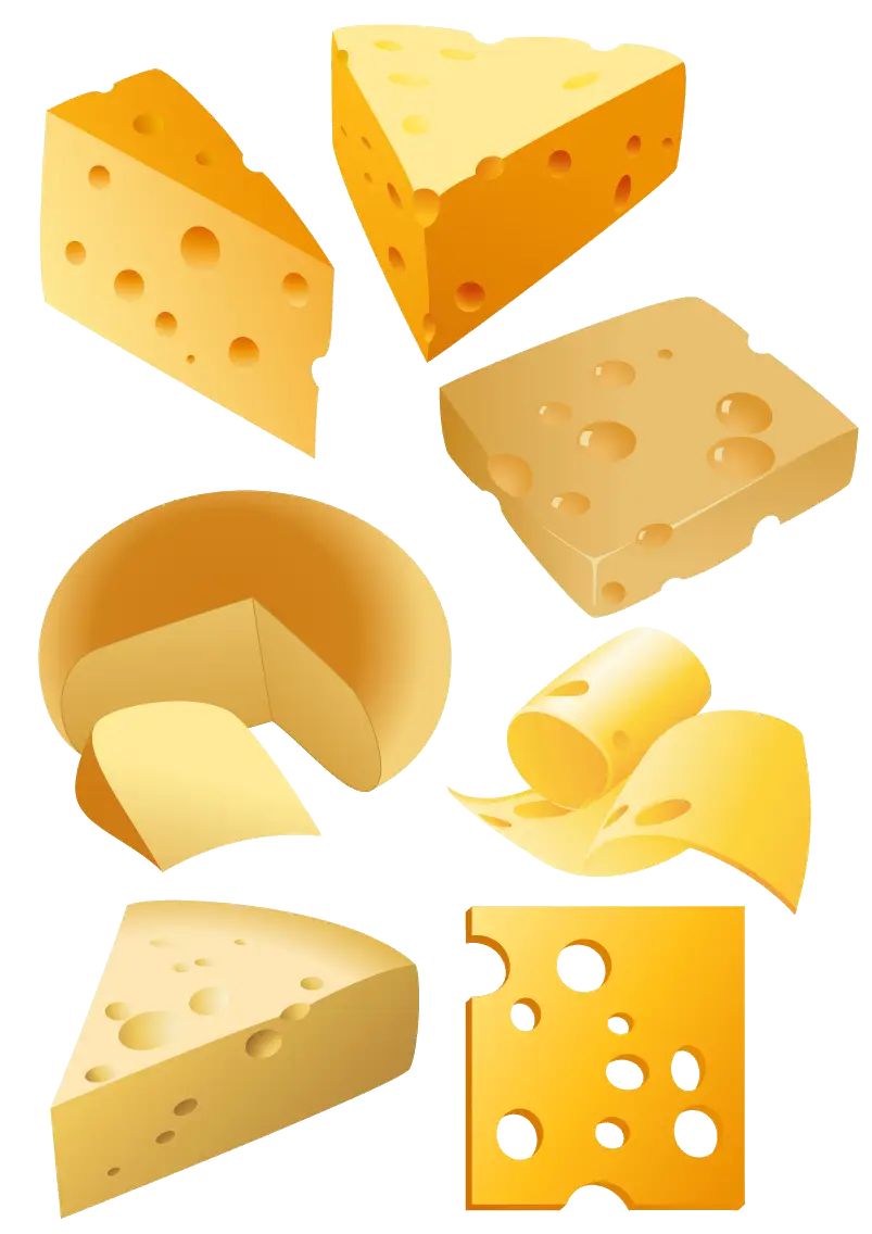 Various Types of Cheese