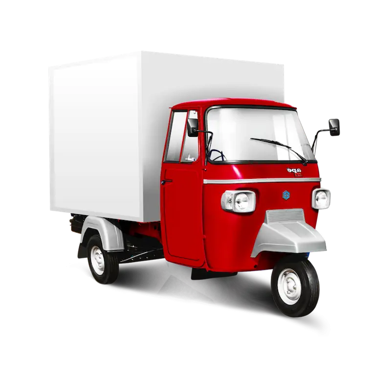 Red Delivery Auto Rickshaw