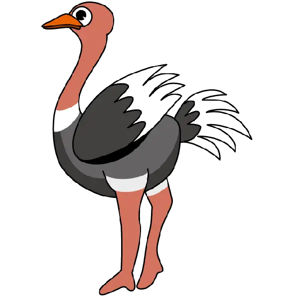 Cartoon Ostrich Sketch