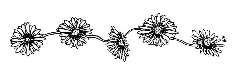 Daisy Flower Line Art Garland Illustration