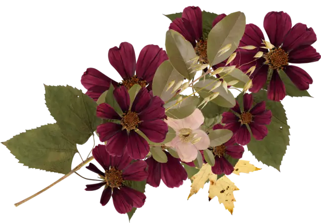 Purple Flowers Bouquet with Green Leaves