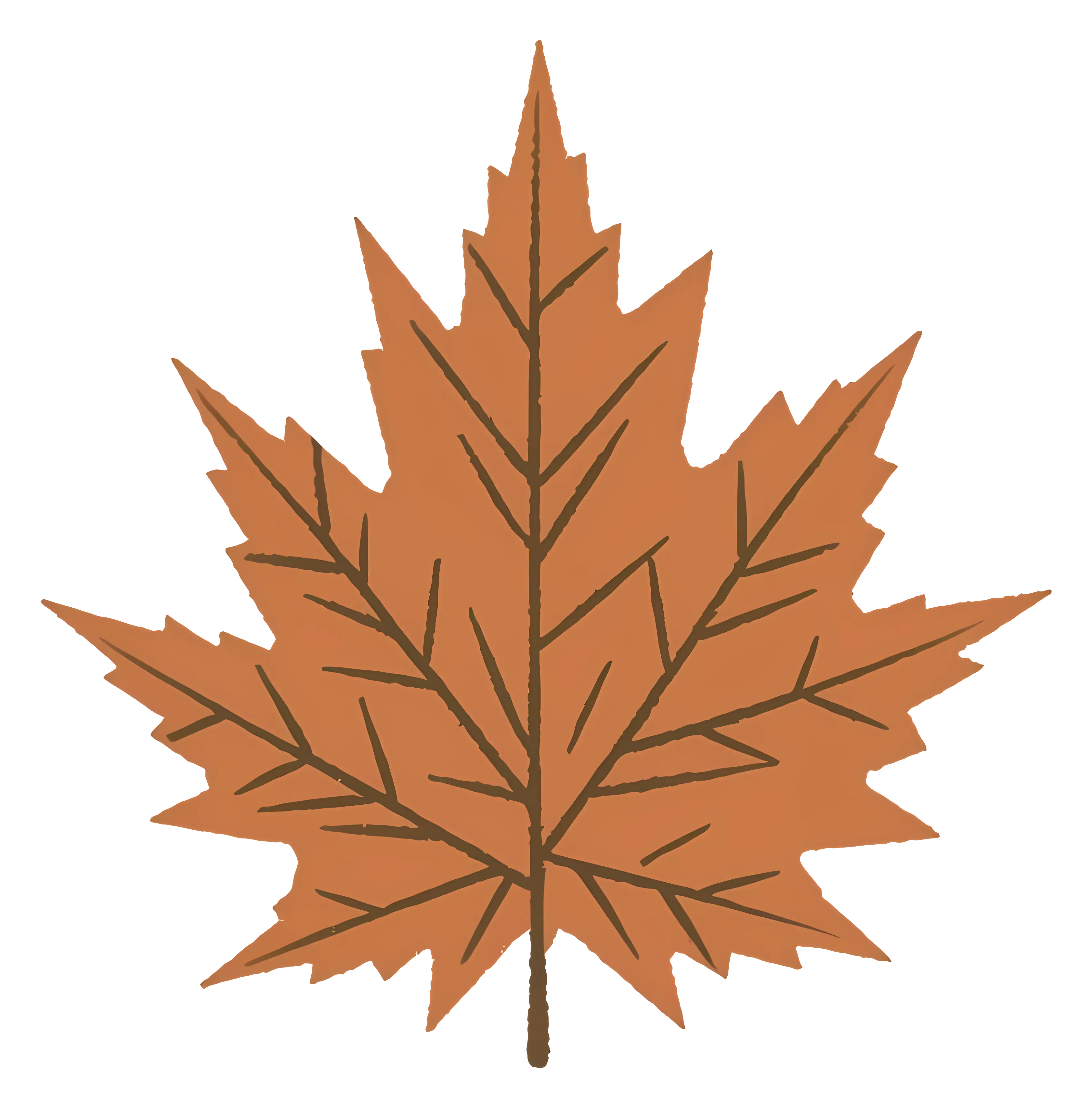 Illustrated Brown Maple Leaf for Autumn Themes