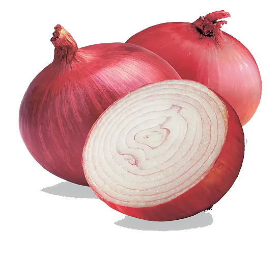 Fresh Red Onions and Sliced Cross-Section