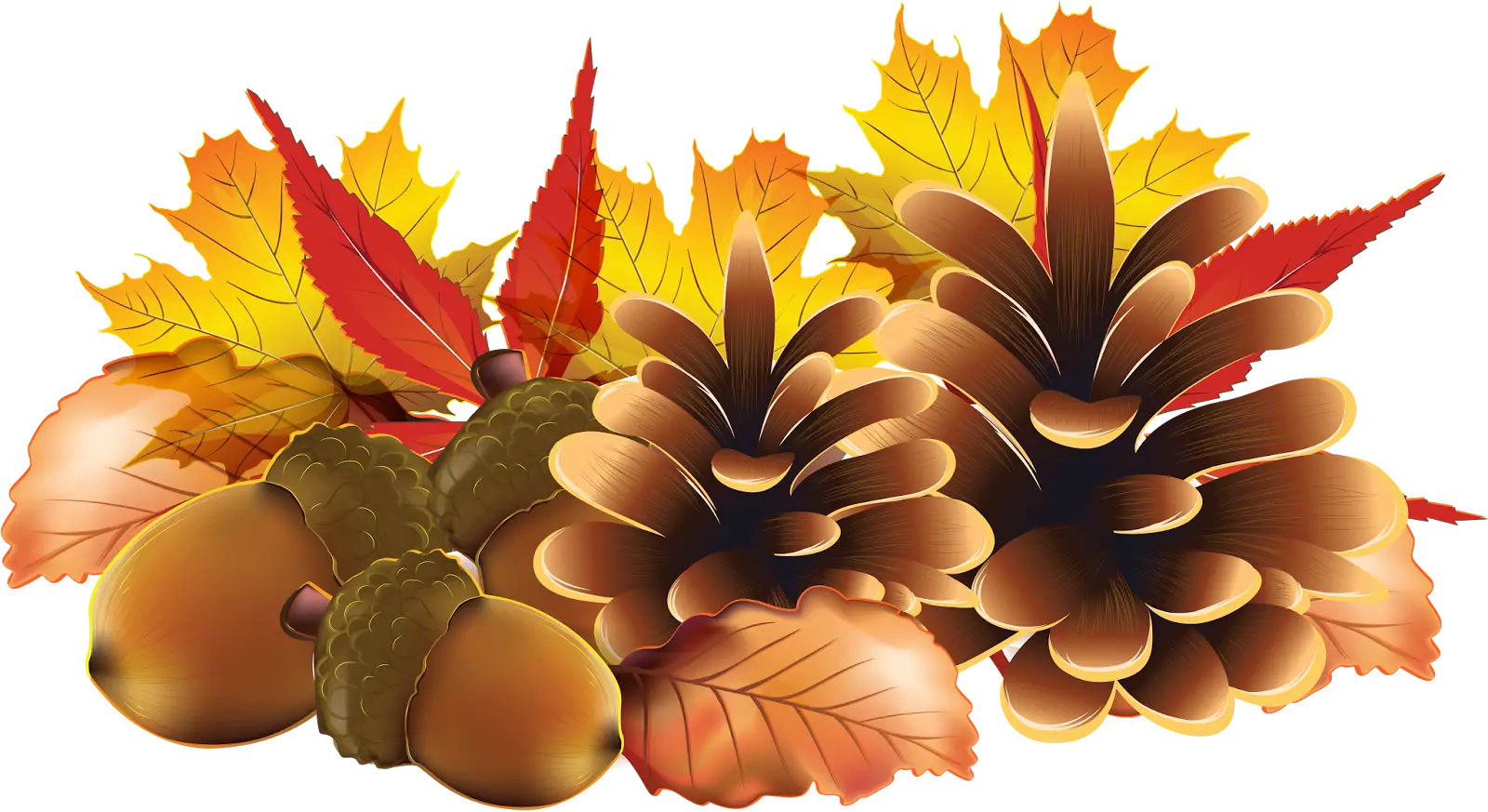 Autumn Pinecones and Acorns with Leaves