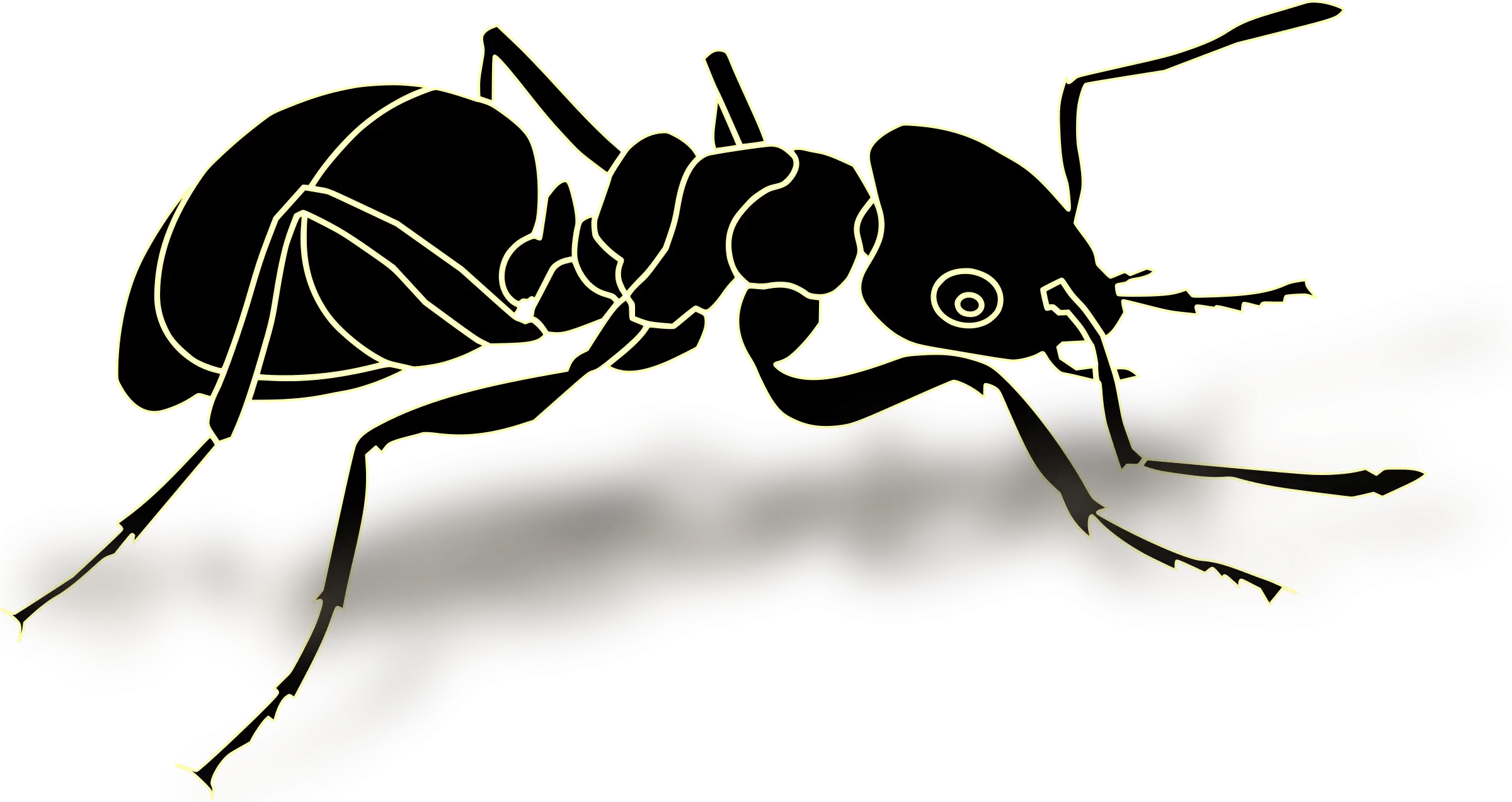 Black Ant Illustration with Detailed Anatomy