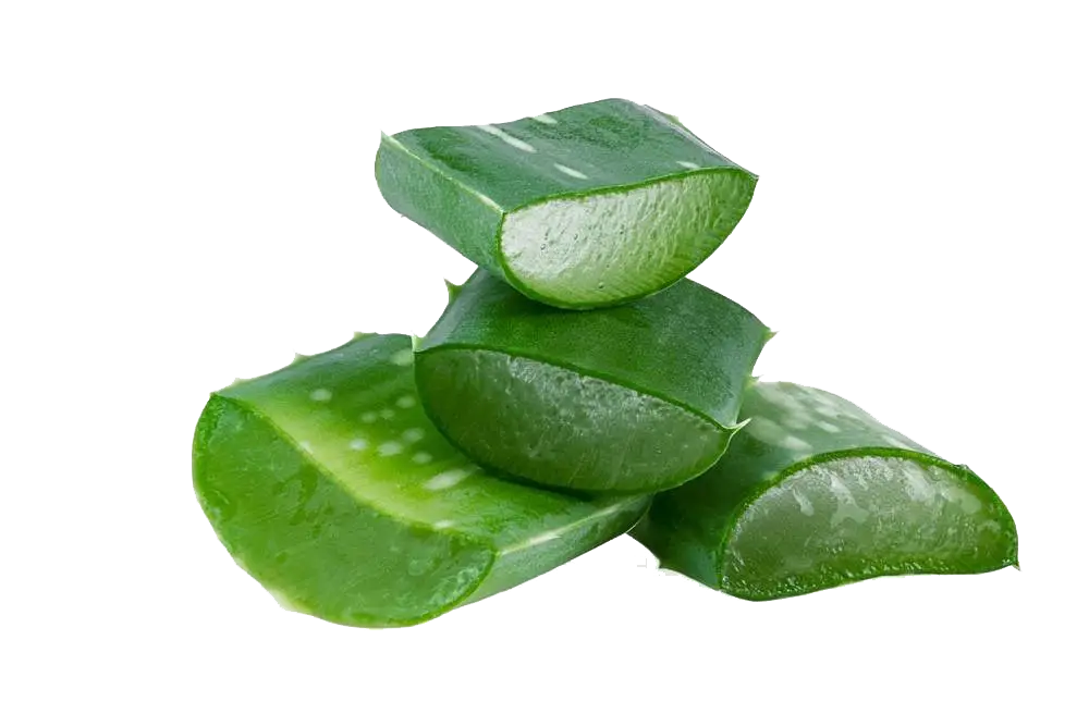 Aloe Vera Slices with Gel