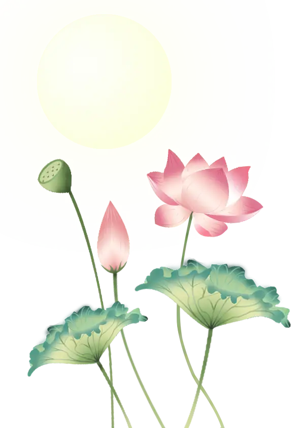 Lotus Flowers in Sunlight