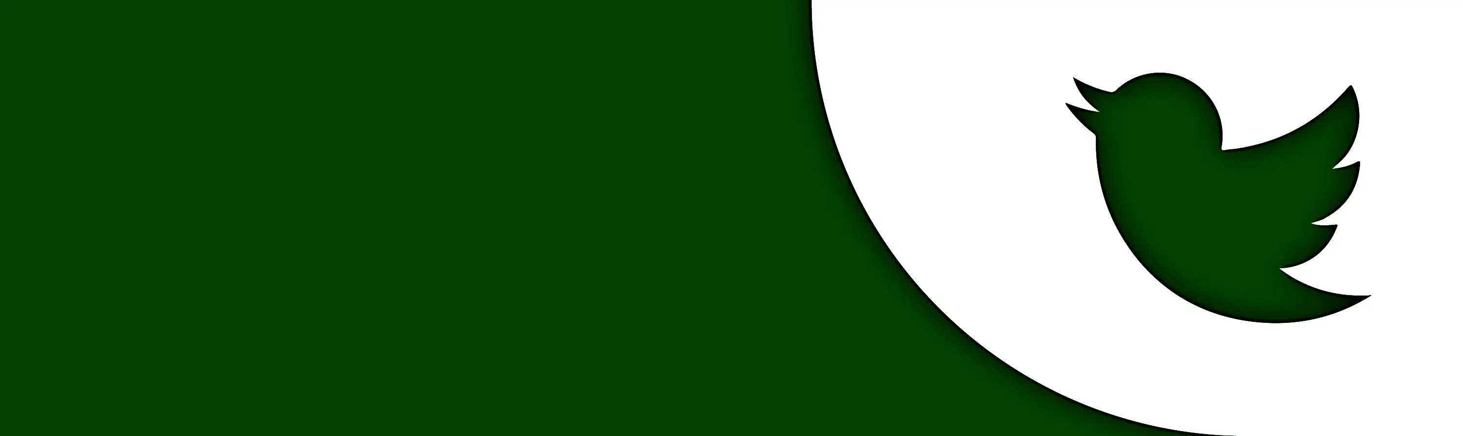 Green Bird Logo Silhouette