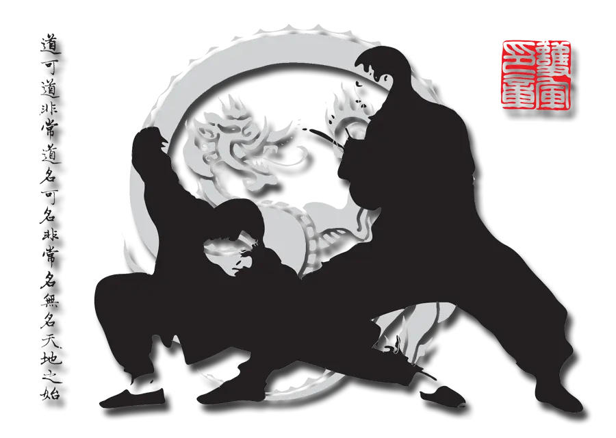 Martial Arts Silhouette
