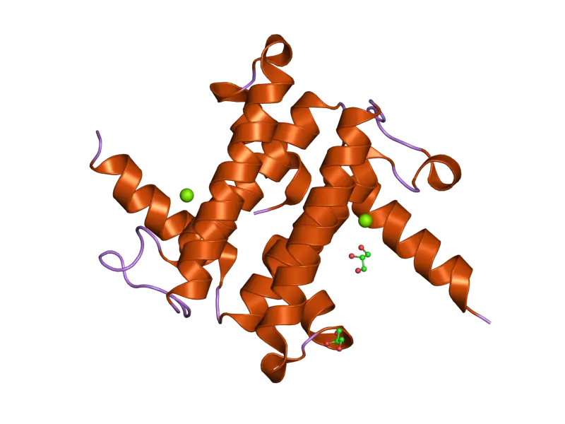 Visual Representation of Protein Structure