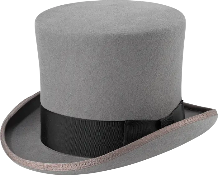 Elegant Gray Top Hat