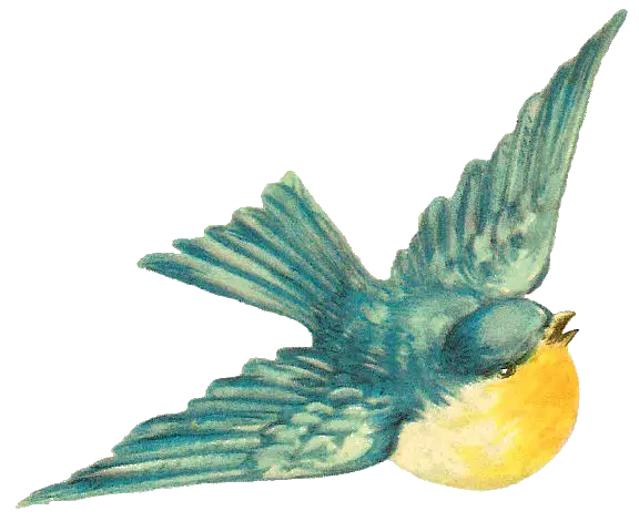 Flying Bird with Blue and Yellow Feathers