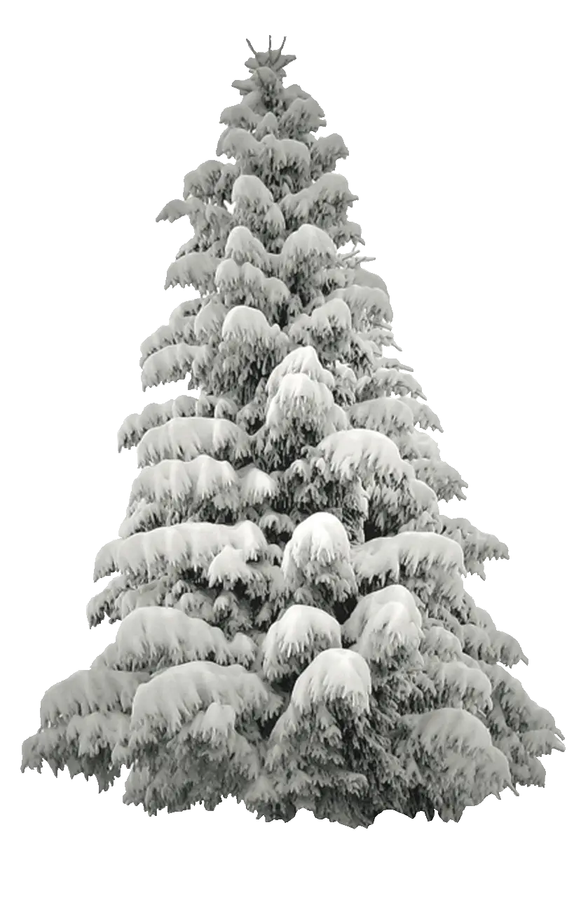 Snow-Covered Christmas Tree for Holidays