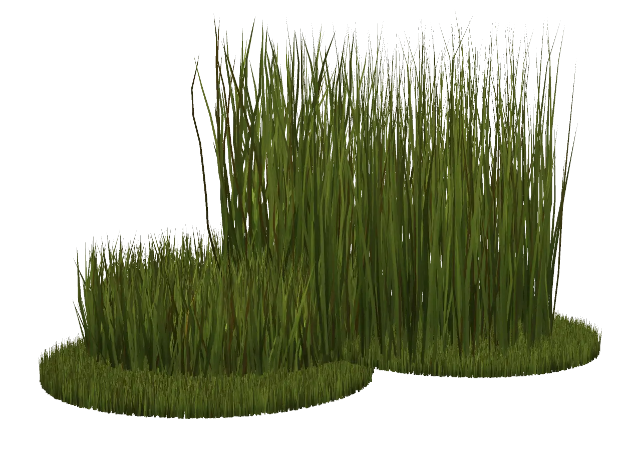 Tall Green Grass Illustration