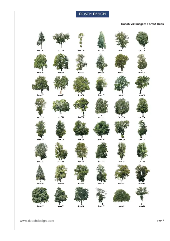 Detailed Set of Forest Trees for Design and Study