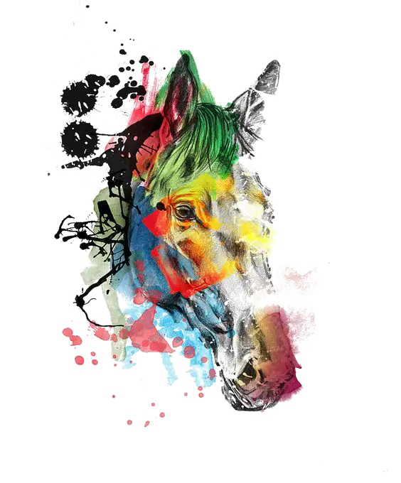 Colorful Abstract Horse Art