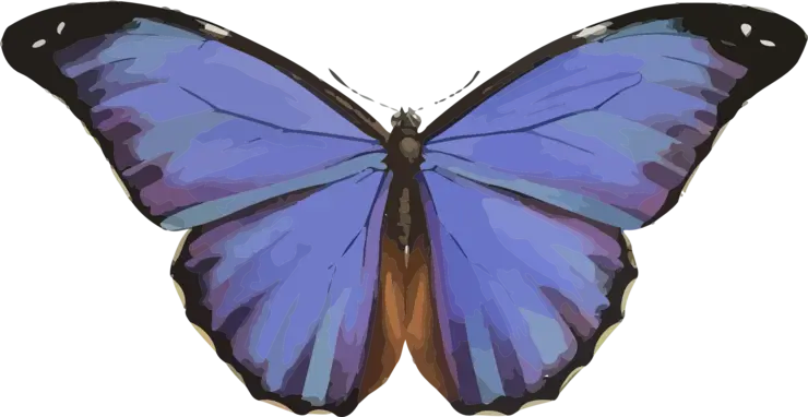 Vivid Blue Butterfly Illustration