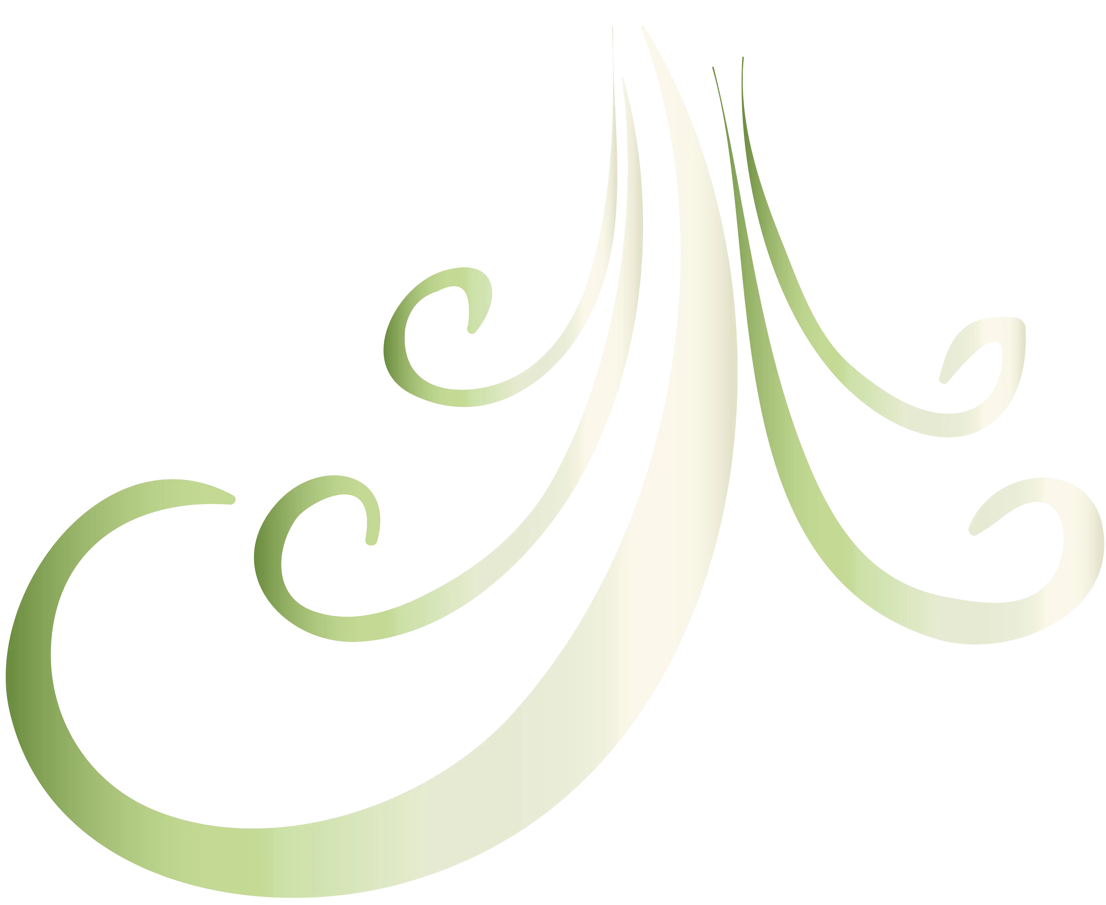 Green Decorative Swirl Graphic