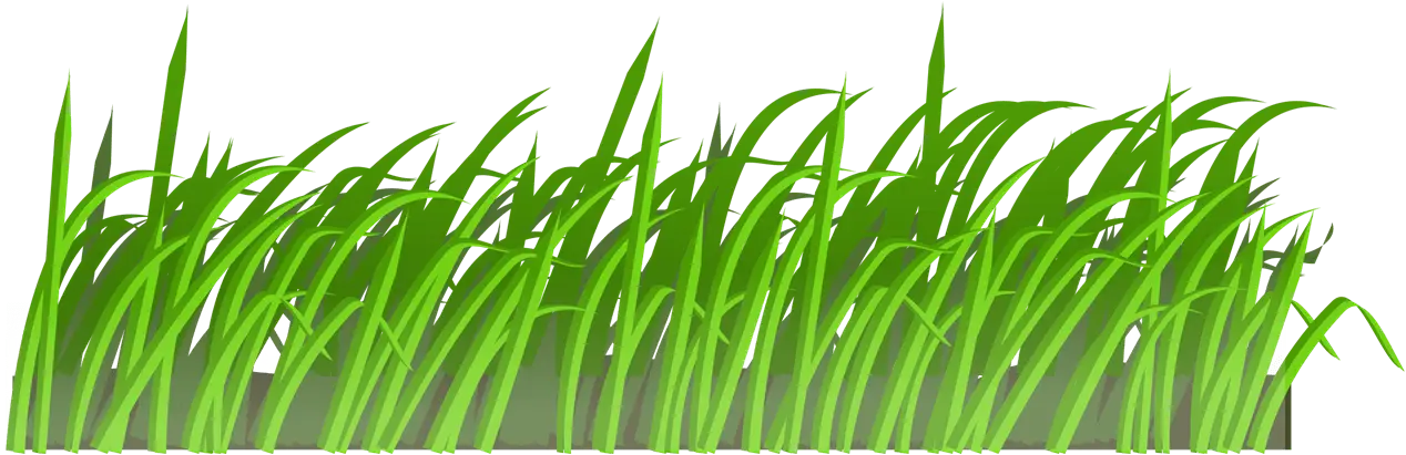 Lush Green Grass Illustration